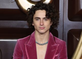Timothée Chalamet Reveals If He Asked Johnny Depp for Wonka Advice