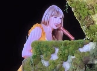 Taylor Swift Tells Argentina Audience Not to Throw Objects Onstage During Concert