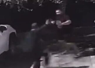 Former MMA Fighter Turns The Tables on Knife-Wielding Suspect in Miami