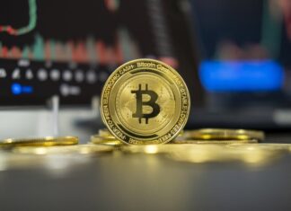 Cryptos surge as BlackRock Ethereum ETF plan is confirmed