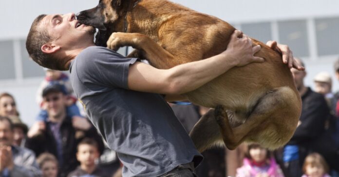 national-dog-show-1.jpg