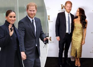 Prince Harry, Meghan Markle ‘try too hard’ to win public over