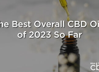 The Best Overall CBD Oils of 2023 So Far – Hollywood Life