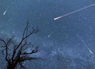How to watch the Leonids meteor shower this weekend