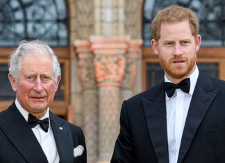 Prince Harry Appears in King Charles’ 75th Birthday Tribute Video – Hollywood Life