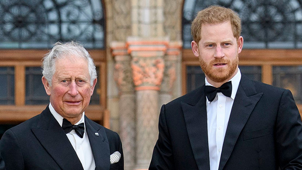prince-harry-video-montage-king-charles-birthday-ftr.jpg
