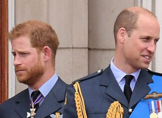Prince Harry Upset Prince William Ignored Him During Elizabeth’s Death – Hollywood Life