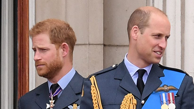 prince-harry-william-ignored-queen-elizabeth-death-ftr.jpg