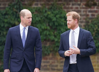 Prince William and Prince Harry’s Rift Deepens, Says Author – Hollywood Life