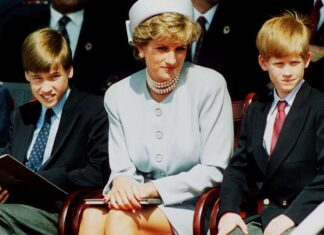 How Prince Harry, Prince William Found Out About Princess Diana’s Death