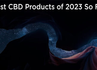 Best CBD Products of 2023 So Far – Hollywood Life