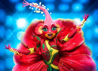 An Iconic Real Housewife Revealed on The Masked Singer