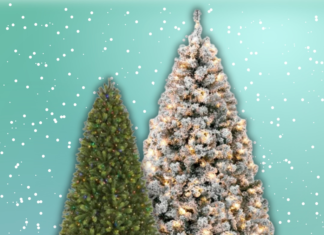 The 18 Best Christmas Tree Deals to Get You in the Holiday Spirit