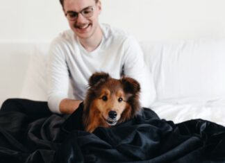 The Big Blanket Is Everything I’ve Ever Wanted in a Throw