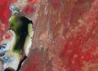 This infrared Earth image looks like a work of art