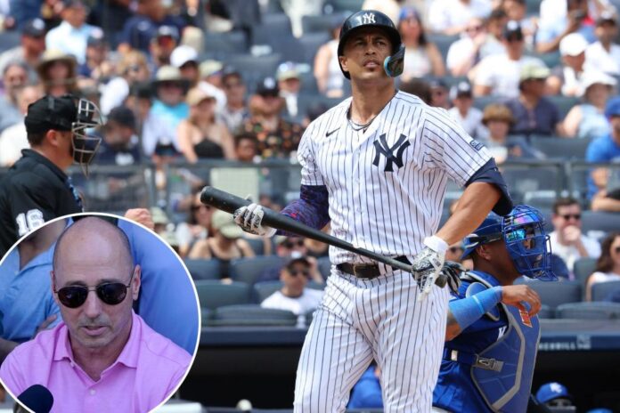 stanton-cashman.jpg