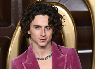 Timothee Chalamet Reveals if He Asked Johnny Depp for ‘Wonka’ Advice – Hollywood Life