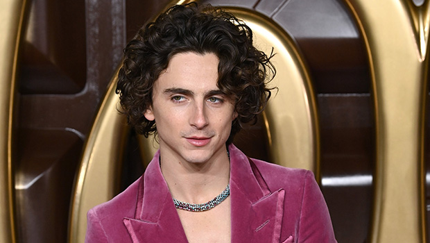 timothee-chalamet-johnny-depp-wonka-Ftr.jpg