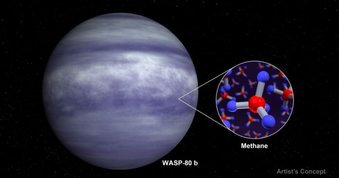 wasp-80b_v01_disclaimer_021.jpg