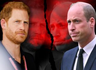 Harry is ‘defector’ from royal family