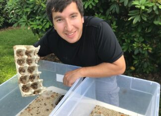 Millennial Dad’s Cricket Side Hustle Nets $27,000 in a Month