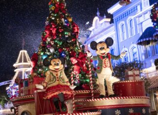 Fun Ways To Celebrate The Holidays At Disney World