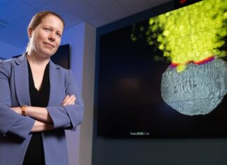 Lawrence Livermore National Lab simulates ‘Armageddon’-style nuclear asteroid deflection