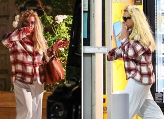 Britney Spears Rushes to Vet in Medical Emergency During Birthday Celebration