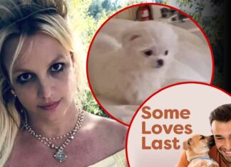 Britney Spears’ Ex Sam Asghari Has New Gig with PETA, Appears To Take Shot