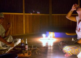 How the Effects of Ayahuasca Trips Can Make Better Leaders: VC Founder