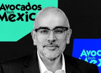 It’s Time for Gen Z to Love Avocados in 2024, Says Avocados From Mexico CEO