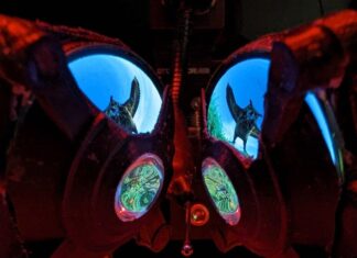 Researchers Made VR Goggles for Mice to Study How Memory Works