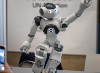 How Much Would Consumers Pay for a Personal Assistant Robot?