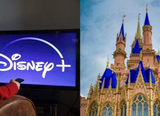 Family Buys $10K Disney+ Gift Cards Thinking They Could Be Used at Theme Parks