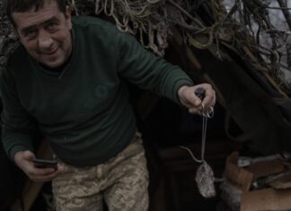 Russian Soldier Appears to Film Massive Mice Infestation in His Dugout