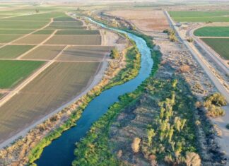 Californians Could Soon Start Drinking Purified Toilet Water