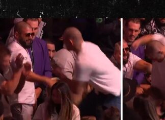 Sean Strickland Attacks Dricus Du Plessis in the Crowd at UFC 296