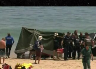 Teen Surfer Killed In Shark Attack In Front Of Dad In Australia
