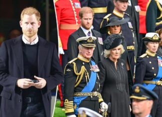 Prince Harry trying to ‘patch up’ family relations before Christmas: expert