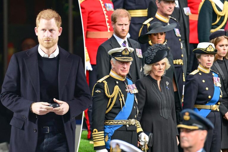 Prince Harry trying to ‘patch up’ family relations before Christmas: expert