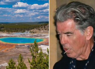 Pierce Brosnan facing the heat after allegedly entering off-limits area in Yellowstone National Park