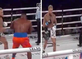 Jake Paul Knocks Out Andre August in First Round of Boxing Match
