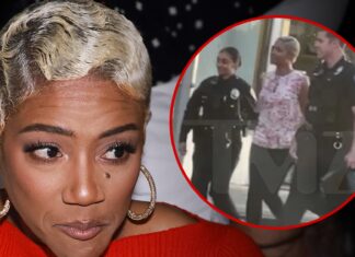 Tiffany Haddish Pleads Not Guilty to DUI in Los Angeles