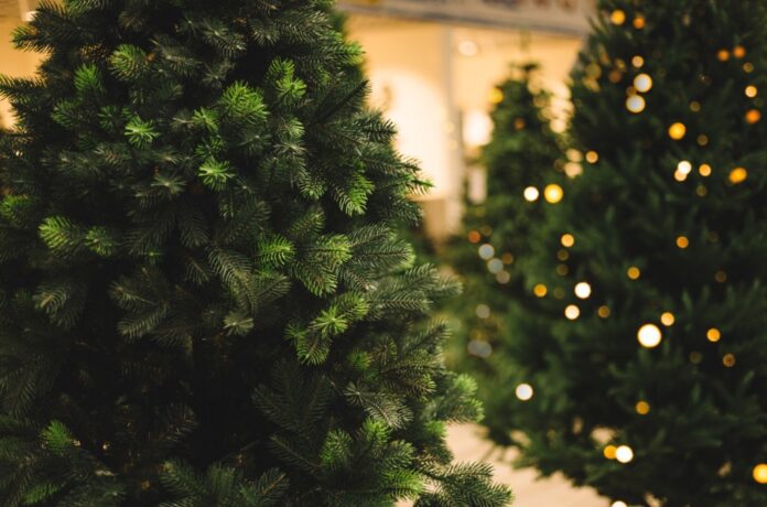 Artificial-Christmas-Trees-billboard-1548.jpg