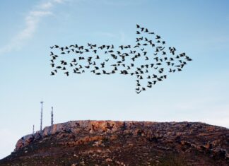 Negotiating cross-border investments: Insights from a seasoned investor