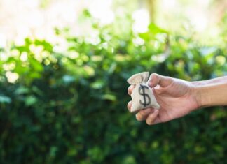 Seed founders should consider these factors before partnering with multistage funds