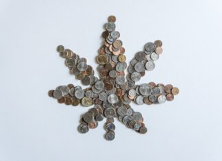 With hopes for greener grass in Germany vanishing, consolidation is in the cards for cannabis companies