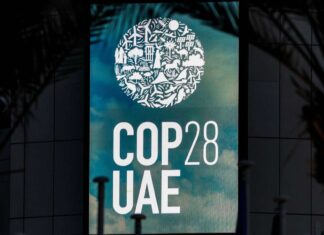 At COP28, the world finally acknowledged the obvious