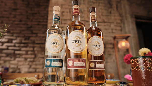 ORTE-Family-Shot-ftr.jpg