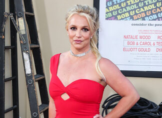 Britney Spears Rushes to Vet With Dog On Her 42nd Birthday – Hollywood Life